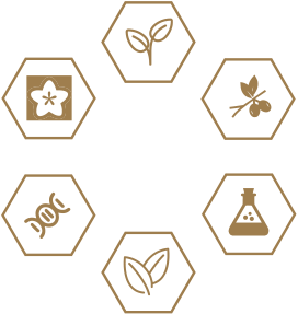 首页- 南宫NG28集团娱乐官方网站