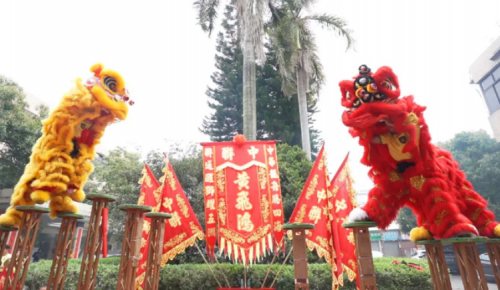 龙腾狮跃，共铸鲜丽将来！